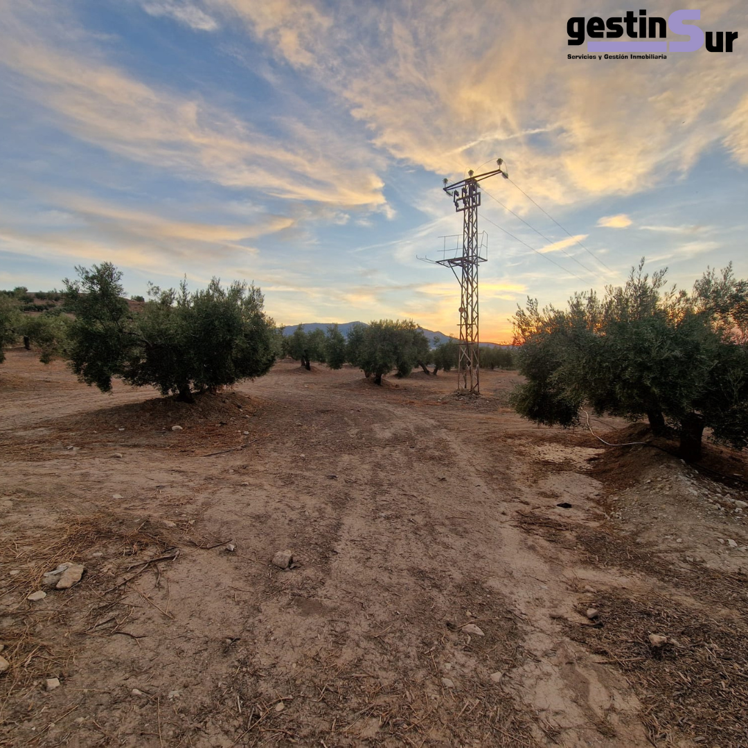 FINCA AGRÍCOLA EN VENTA EN LA PROVINCIA DE JAÉN
